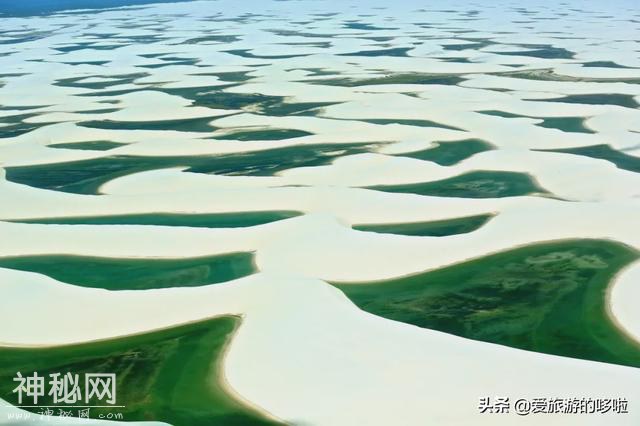 地球上最“诡异”的沙漠，遍地湖泊，鱼虾成群，吸引数十万游客-2.jpg
